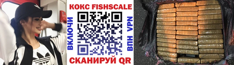Купить где  Лениногорск  COCAIN Fish Scale 