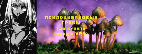 синтетический гашиш Коряжма