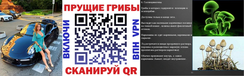 Галлюциногенные грибы MAGIC MUSHROOMS Лениногорск